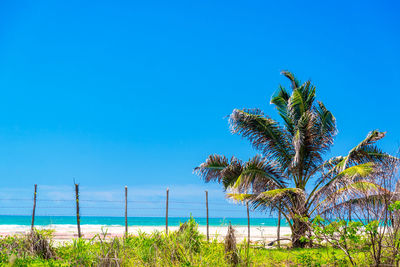 Scenic view of calm sea against clear blue sky