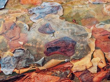 Full frame shot of rocks