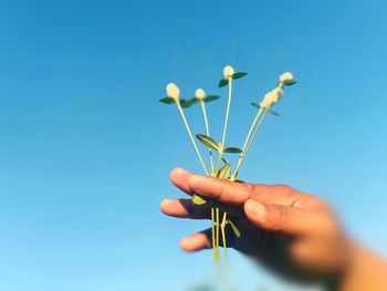 Close-up of hand holding plant against blue sky