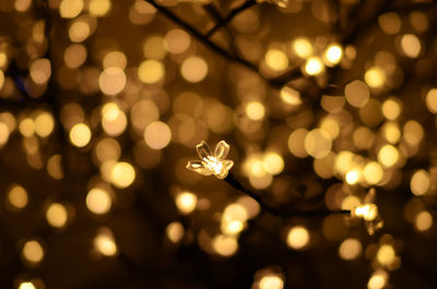 Defocused image of illuminated christmas tree at night