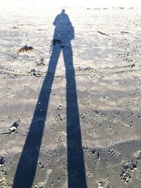 Shadow of man standing on beach