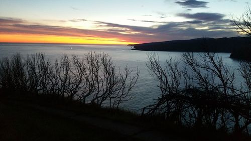 Scenic view of calm sea at sunset