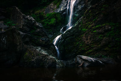 Scenic view of waterfall in forest