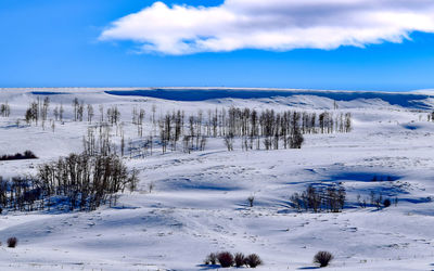 Scenic view of snow covered land against sky