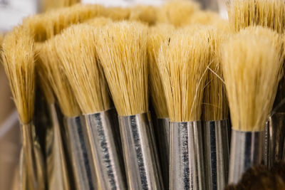 Art brushes for painting from natural bristles. tools of the artist.