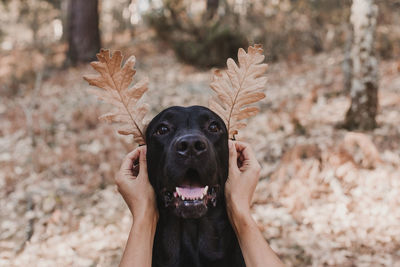 Portrait of woman holding dog during autumn