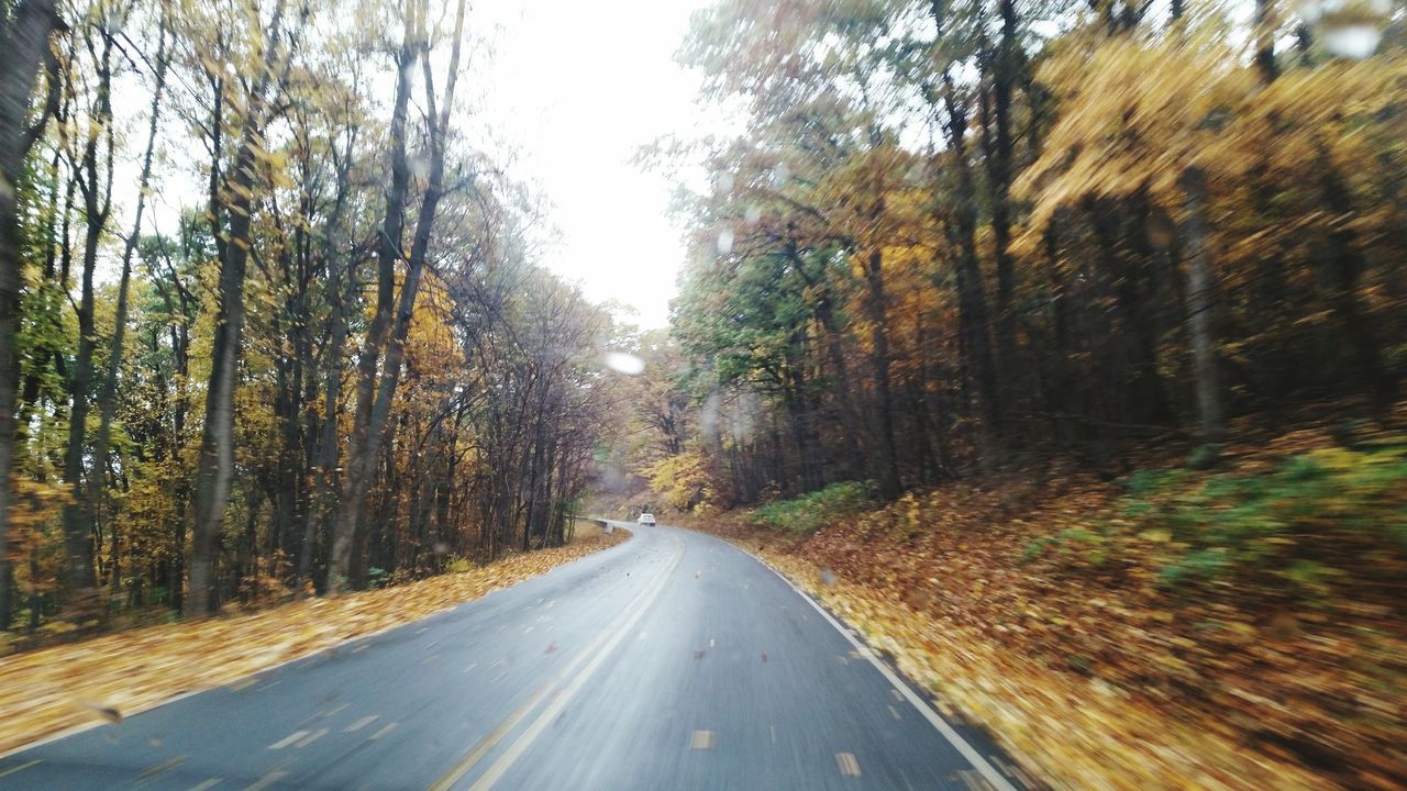 Autumnimvirginia