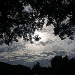 Low angle view of silhouette trees against sky