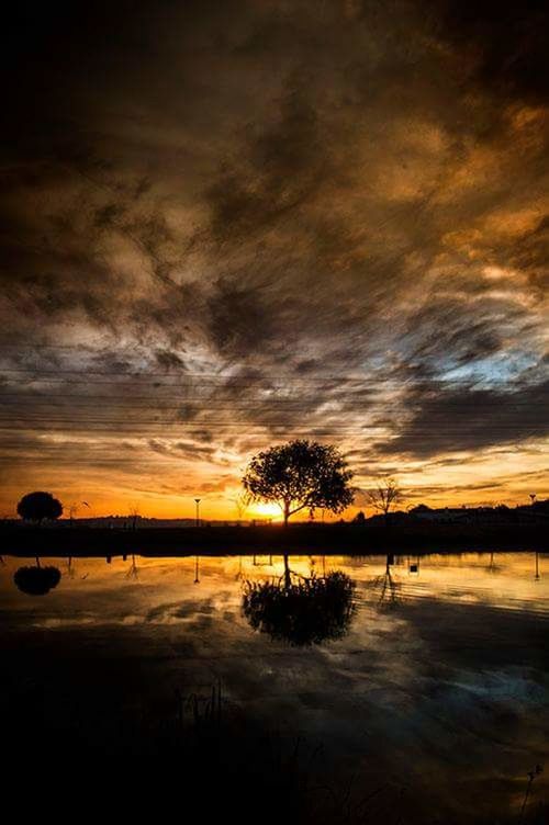 SILHOUETTE TREES BY LAKE AGAINST DRAMATIC SKY