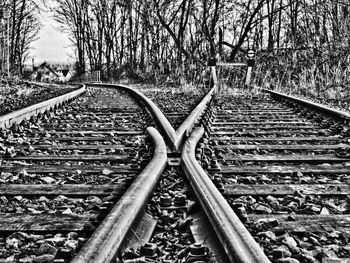 Railroad track along trees