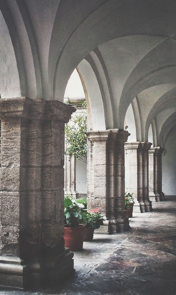 architecture, built structure, arch, architectural column, potted plant, indoors, building exterior, column, plant, day, flower, sunlight, window, history, entrance, no people, in a row, colonnade, growth, courtyard
