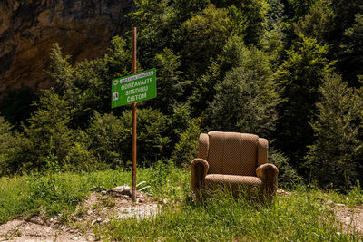 Text on chair against trees in forest