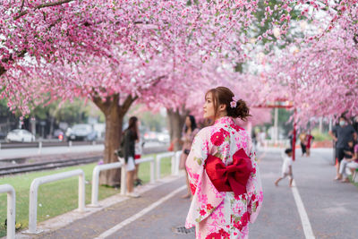 Pink cherry blossoms in spring