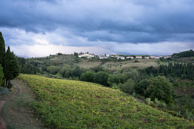 Scenic view of landscape against sky