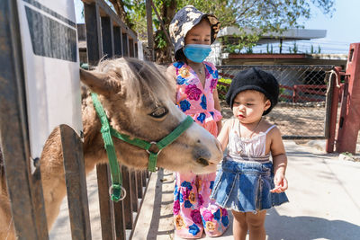 Adorable child girl looking at face of horse and mom feeding horse or pony with a carrot at zoo.