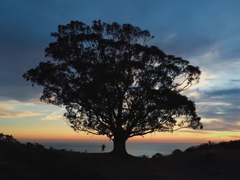 Silhouette tree by sea against sky during sunset