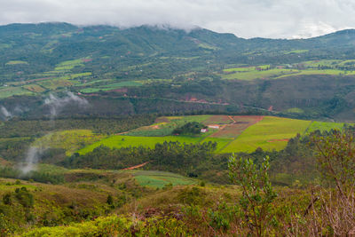 Scenic view of agricultural landscape