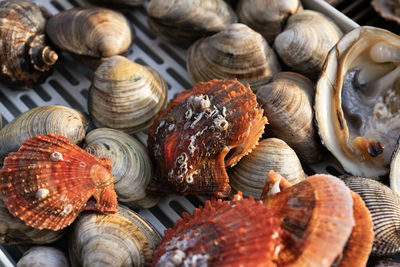 View of roasting various clams in the outdoor restaurant