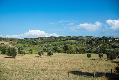 Scenic view of field against cloudy sky