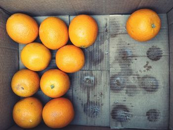 High angle view of orange fruits on table