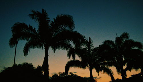 Silhouette palm trees against sky at sunset