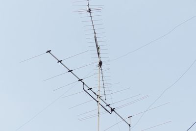 Low angle view of birds flying against clear sky