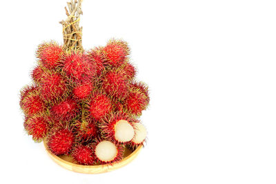 Close-up of christmas tree against white background