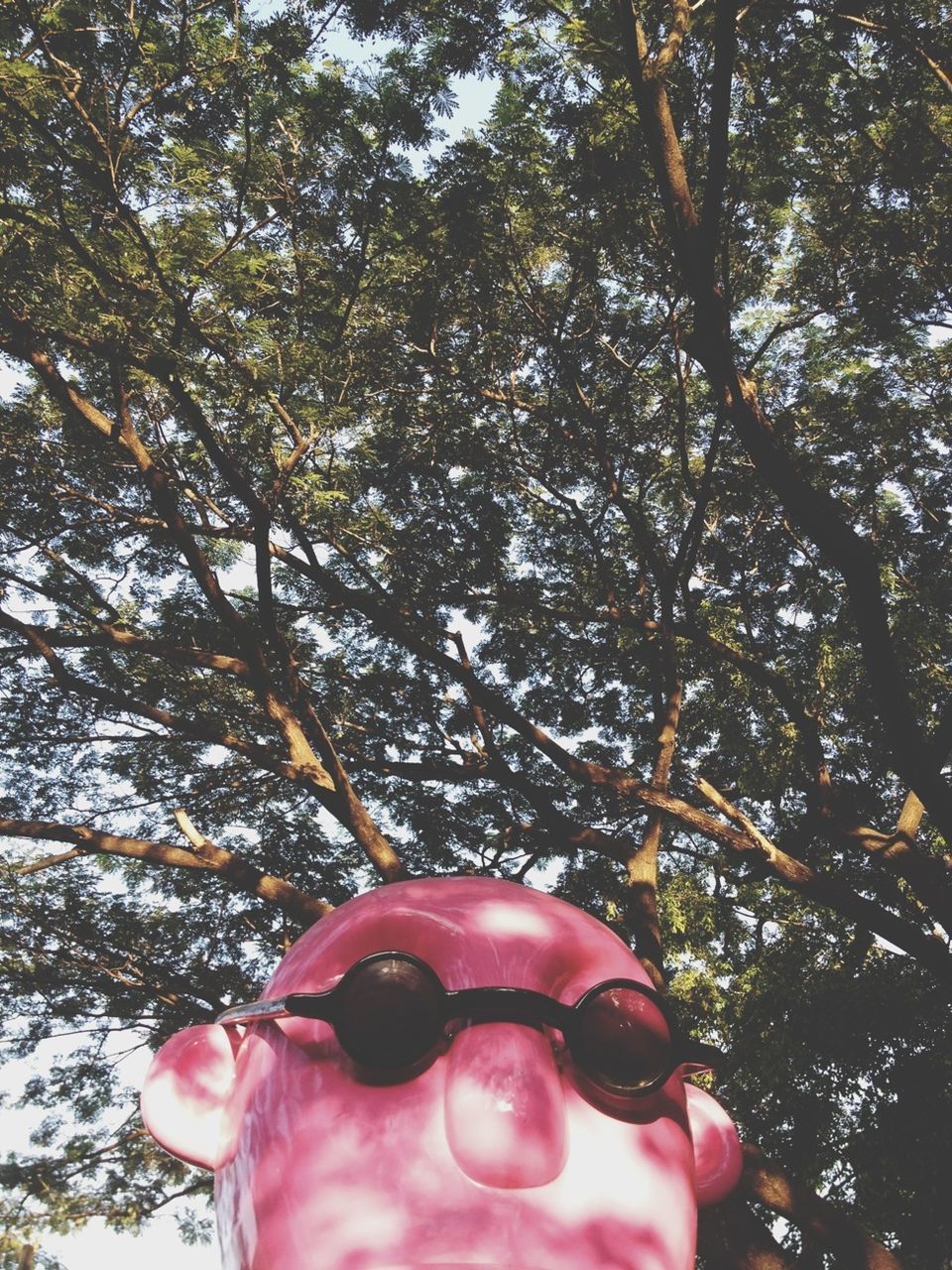 tree, part of, low angle view, red, close-up, branch, growth, cropped, sunlight, day, person, outdoors, nature, sky, pink color, focus on foreground, holding