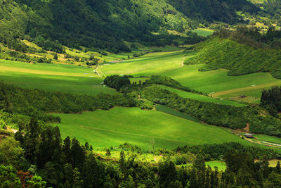 High angle view of field