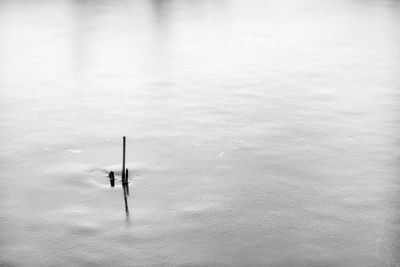 High angle view of person in lake