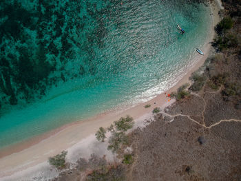 High angle view of trees on beach