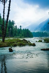 Scenic view of river against sky