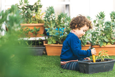 Rear view of boy and plants in yard