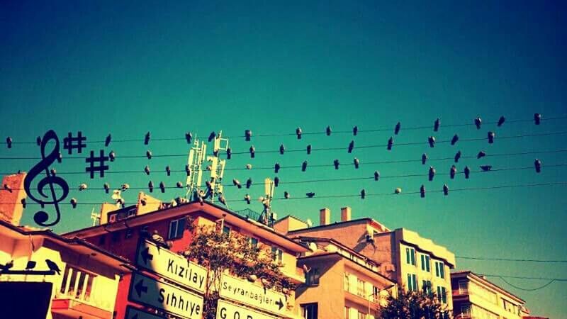 low angle view, architecture, built structure, building exterior, bird, clear sky, blue, sky, high section, roof, art and craft, animals in the wild, copy space, art, outdoors, building, animal themes, no people, flying, perching