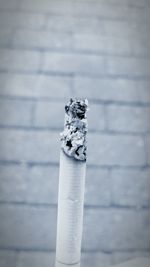 Close-up of burnt cigarette against paving stone
