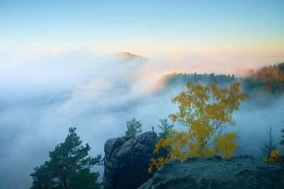 View through branches to deep misty valley within daybreak. foggy and misty morning landscape