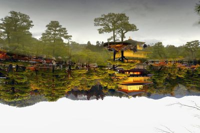 View of trees on landscape