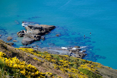High angle view of boats on beach