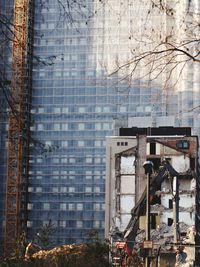 Bare tree against building seen through glass window