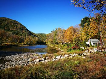 Scenic view of canal by trees against clear blue sky