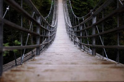 Footbridge in forest