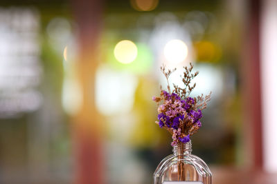 Beautiful purple bouquet of dried flowers in vase on table