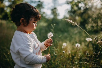 Full length of child holding dandelion on field