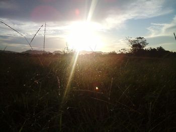 Scenic view of grassy field against sky at sunset