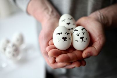 Close-up of person holding eggs