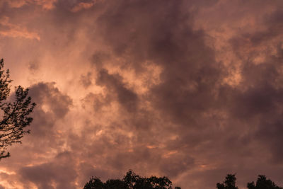 Low angle view of tree against dramatic sky