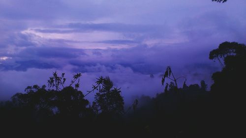 Low angle view of silhouette trees against sky