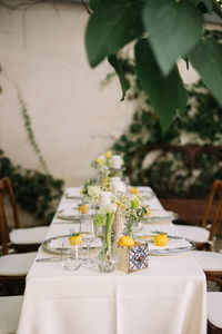 Potted plant on table