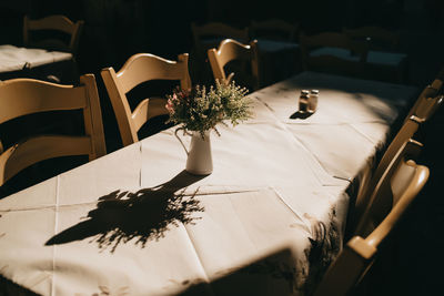 High angle view of potted plant on table at home