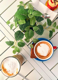 High angle view of potted plant on table